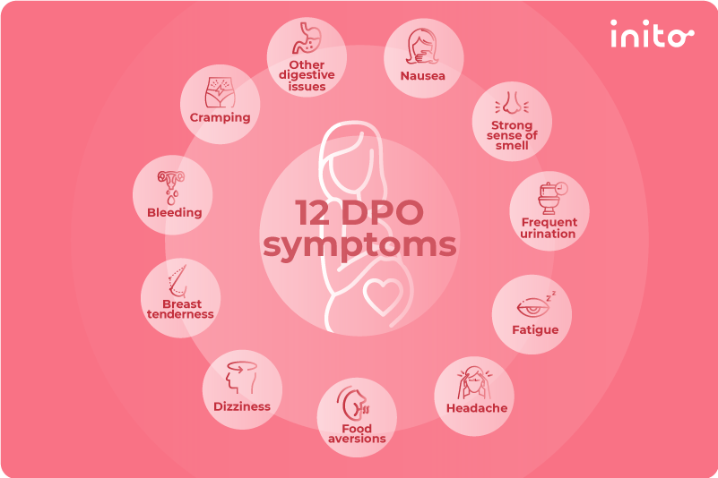 12 DPO Symptoms