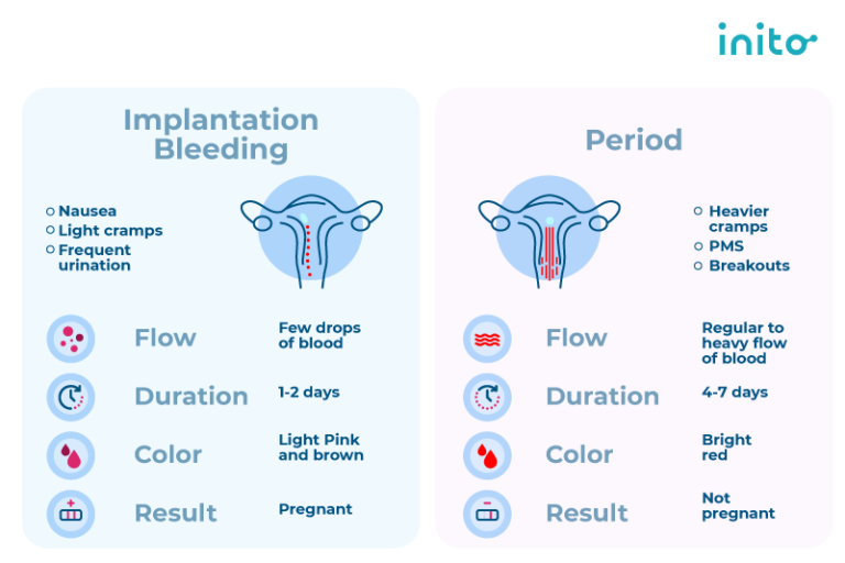 10 DPO Symptoms: The Earliest Indicators of Pregnancy - Inito