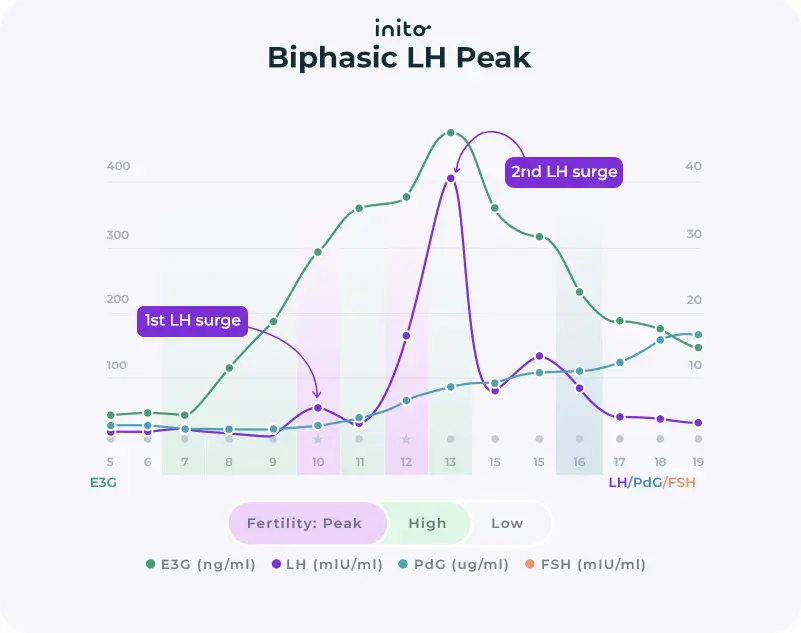 Biphasic LH peak during LH Surge