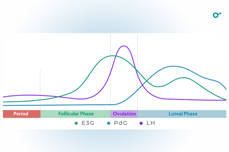 PdG Test Key Things To Know About Progesterone Tests Inito