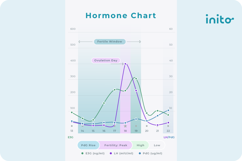 LH Hormone Chart