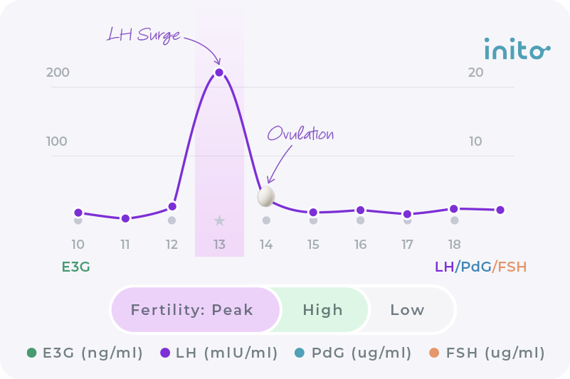 lh surge and ovulation