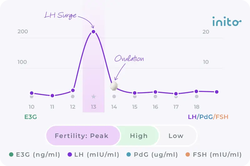 LH Surge