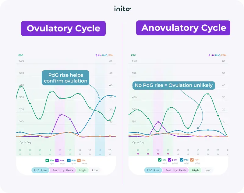 Progesterone level during ovulatory and anovulatory cycle