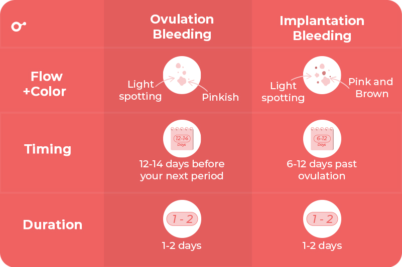 what does implantation bleeding look like in underwear