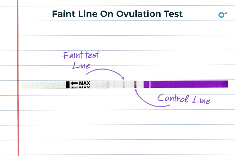 what-does-a-faint-line-on-an-ovulation-test-mean-inito