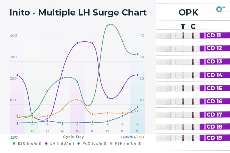 New Multiple LH surge