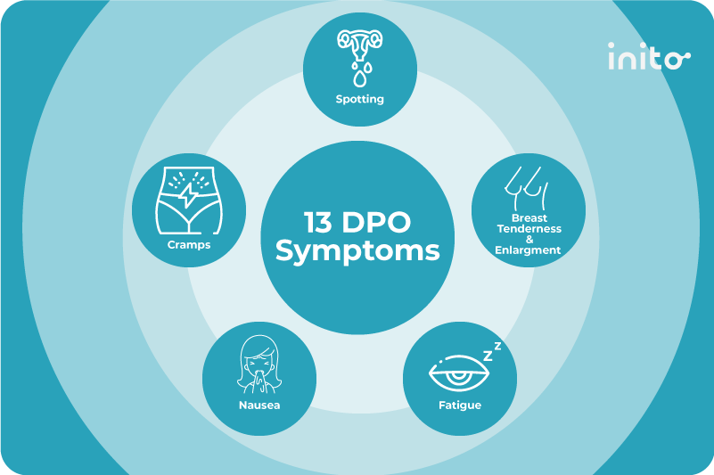 13 DPO Symptoms