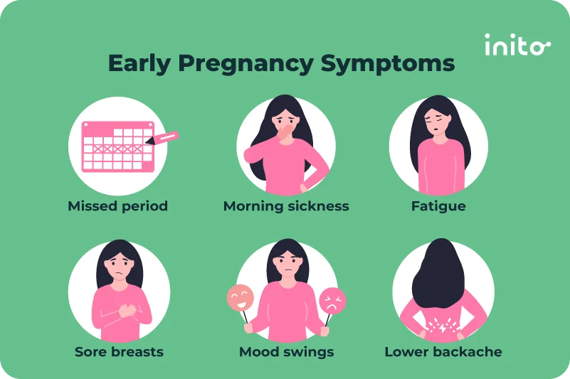 early pregnancy symptoms