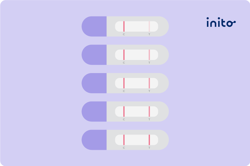 positive ovulation test look like