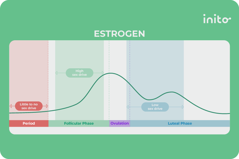 estrogen chart
