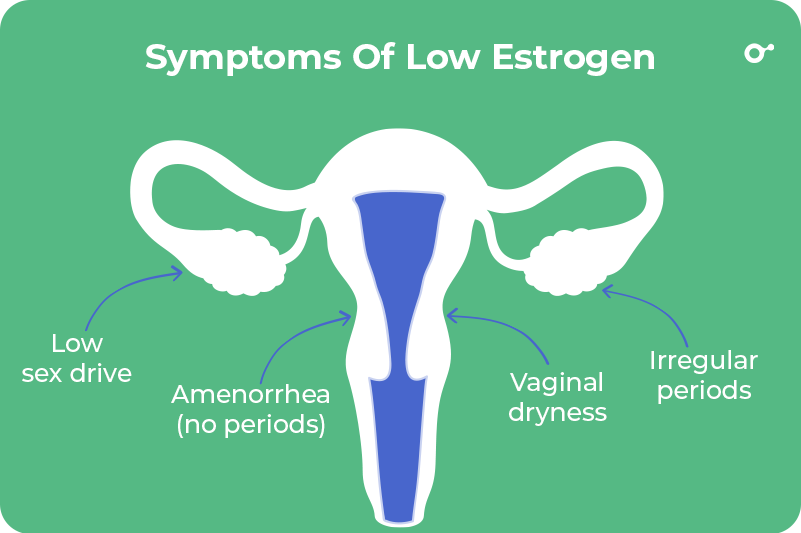 Low Estrogen Signs and Symptoms and How to Treat Low Estrogen - Dr