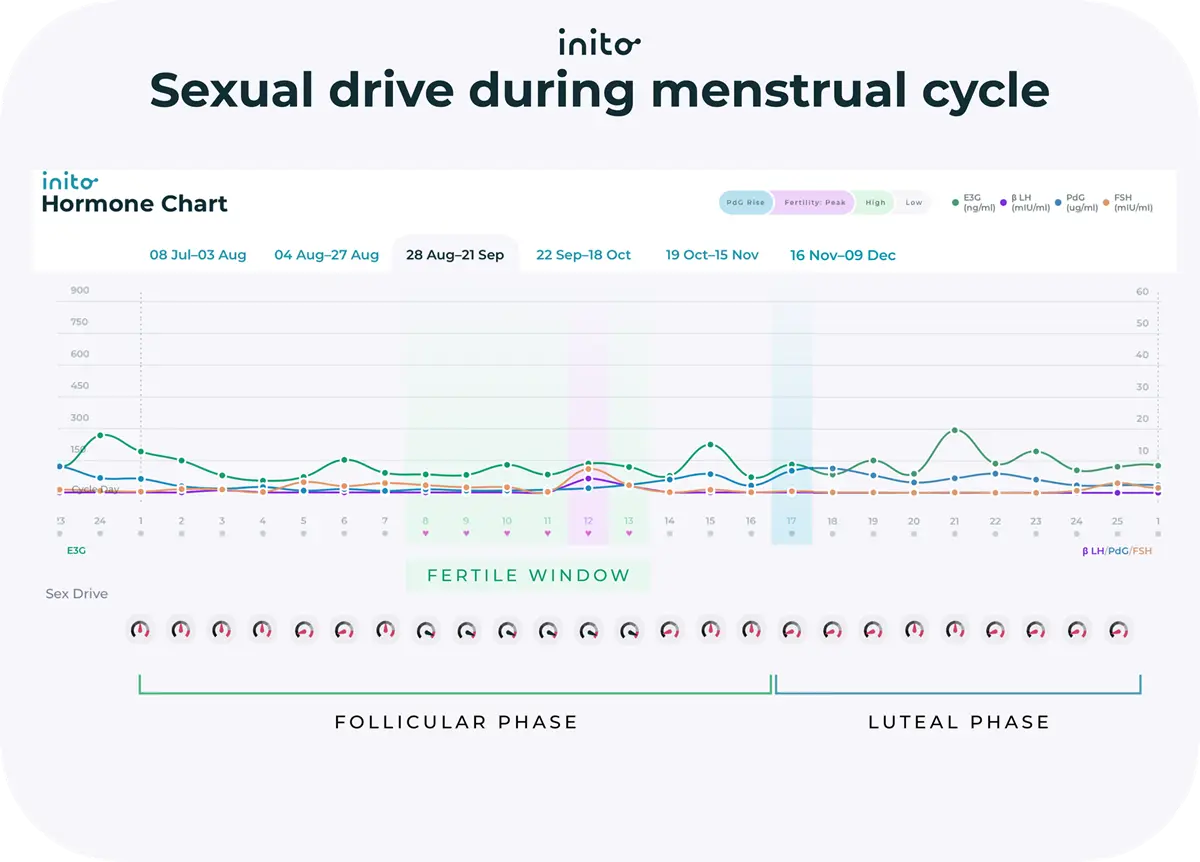 Sexual drive during menstrual cycle