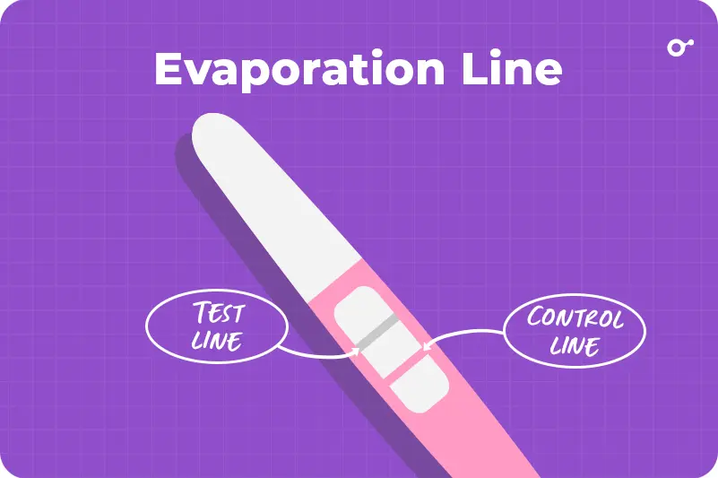 Evaporation Line