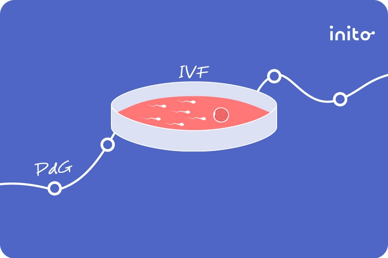 Progesterone and IVF