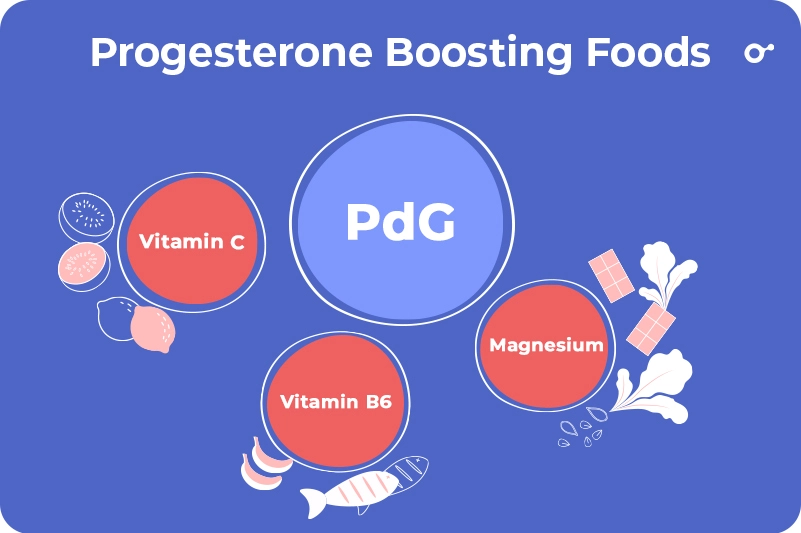 progesterone-friendly foods rich in these nutrients