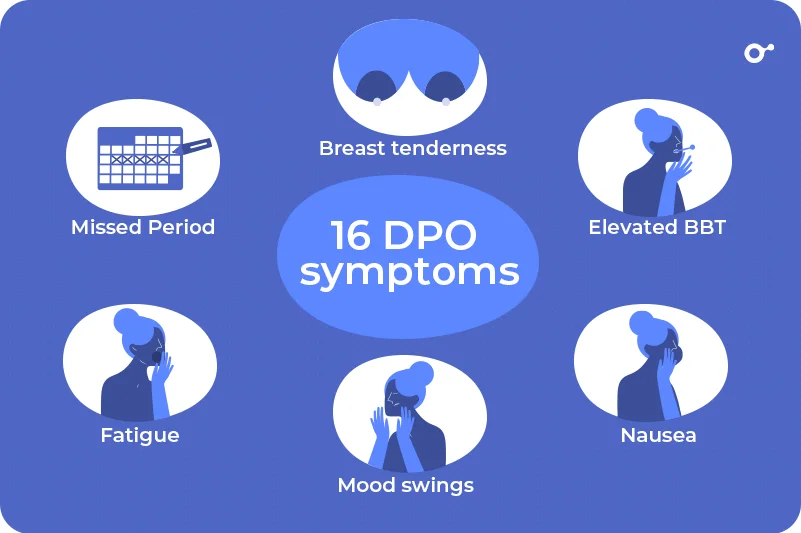 Pregnancy Symptoms You Must Know at 16 DPO 2 16 DPO symptoms