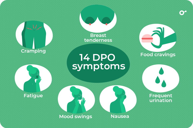 14dpo Symptoms