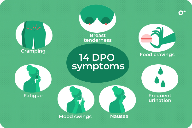 2-week-wait-symptoms-before-bfp-early-pregnancy-symptoms-7-14-dpo