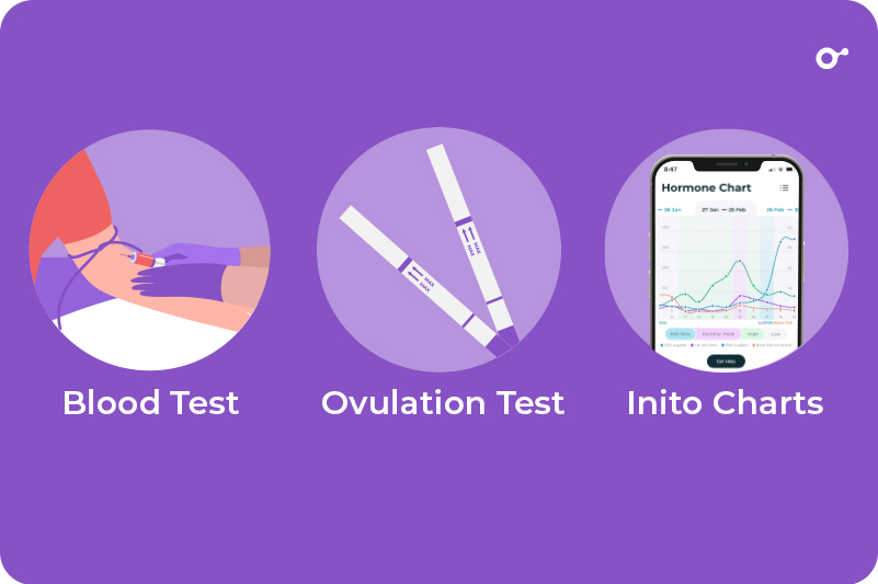 LH Levels & Surges: What Does a 'Normal' LH Level Look Like? - Inito