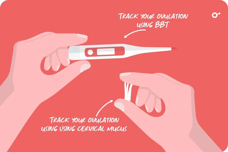 track your ovulation