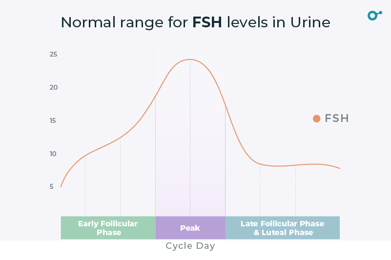 What do FSH Hormone values mean Inito