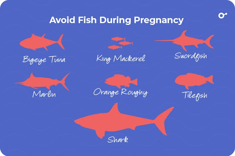 Types of fish to avoid during pregnancy