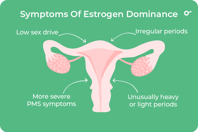 Estrogen Dominance and How Does it Affect the Body? - Inito