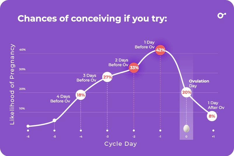 Chances of conceiving if you try