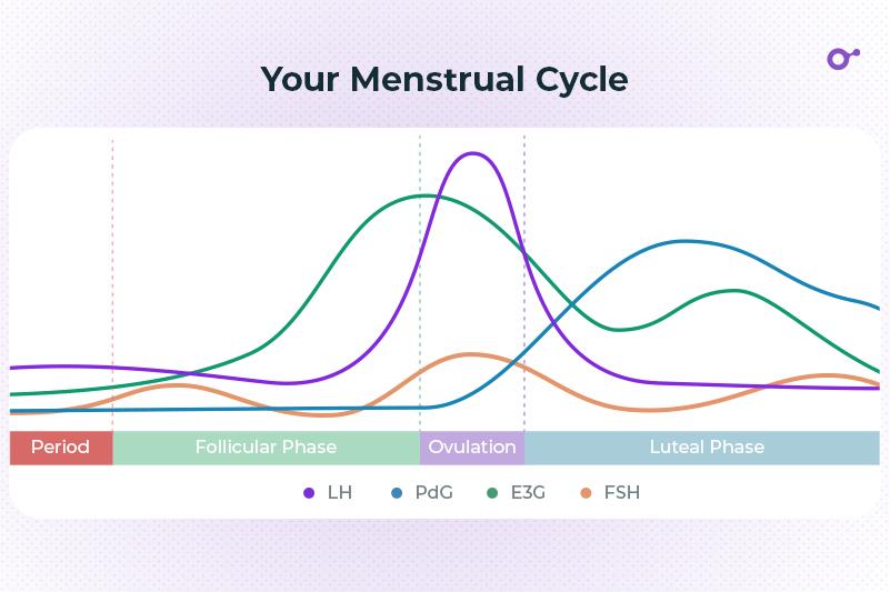 What Are Your Chances Of Getting Pregnant On Ovulation Day Inito