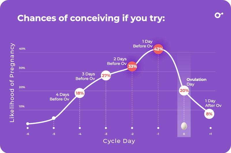 What Are Your Chances Of Getting Pregnant On Ovulation Day Inito