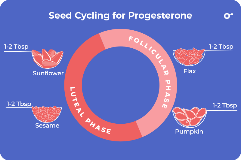 INITO 2022 Blog Dec Foods to Increase Progesterone 13 1