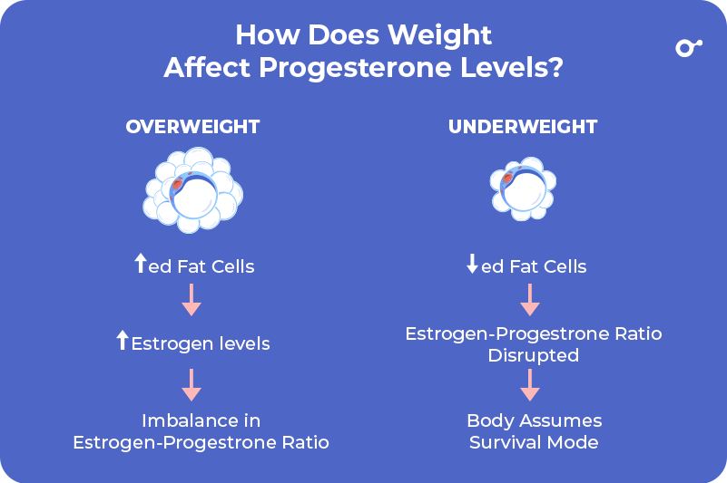 INITO 2022 Blog Dec Foods to Increase Progesterone 14