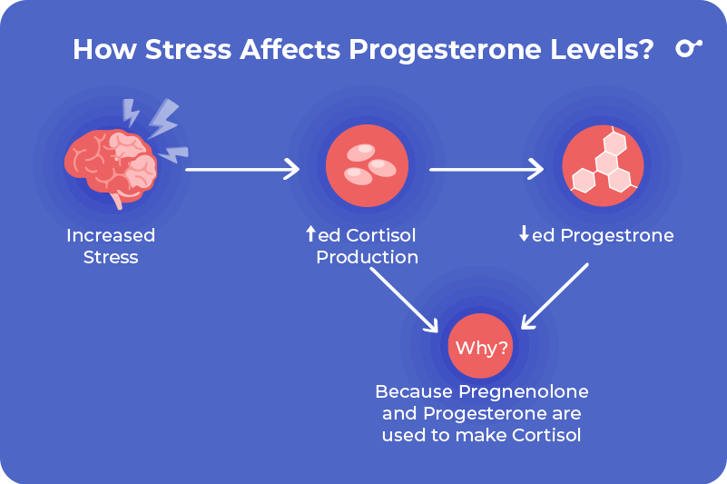 INITO 2022 Blog Dec Foods to Increase Progesterone 15B 1