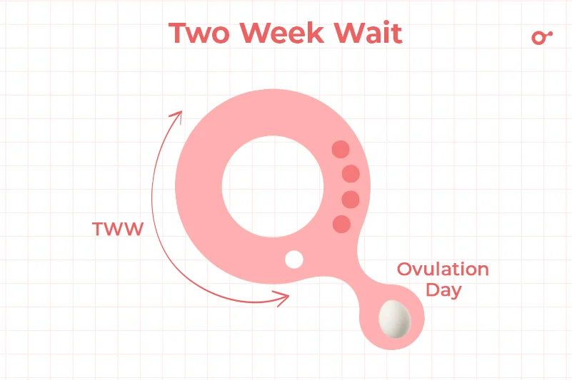 Two-week wait