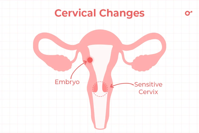 cervical changes