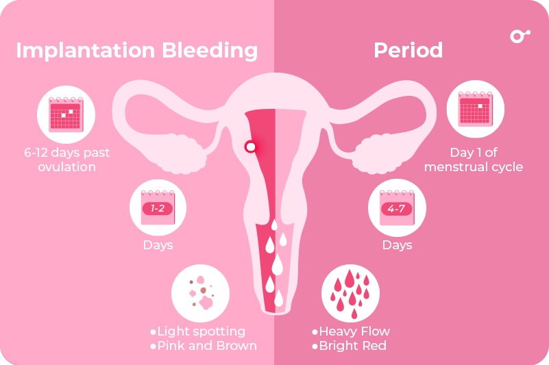 Does implantation bleeding happen before ovulation or near the