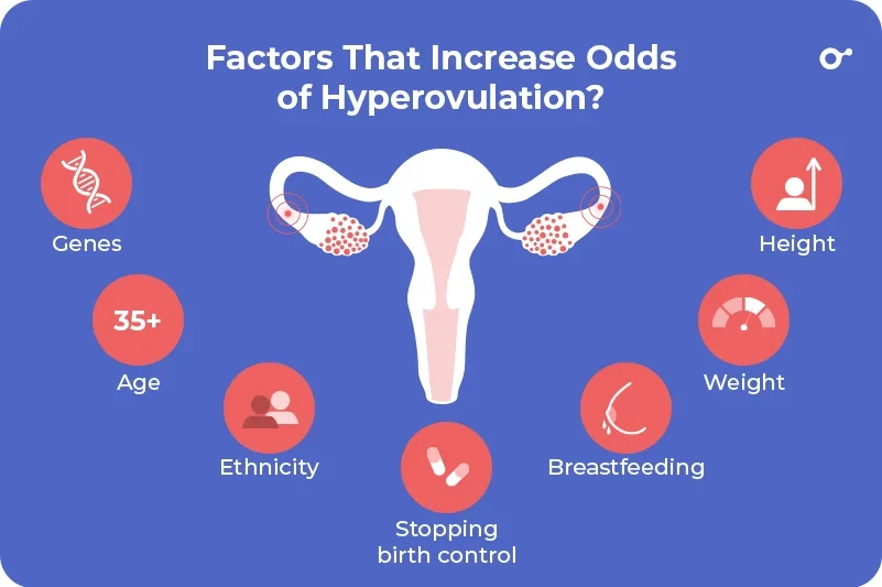 Factors that increase the chances of hyperovulation