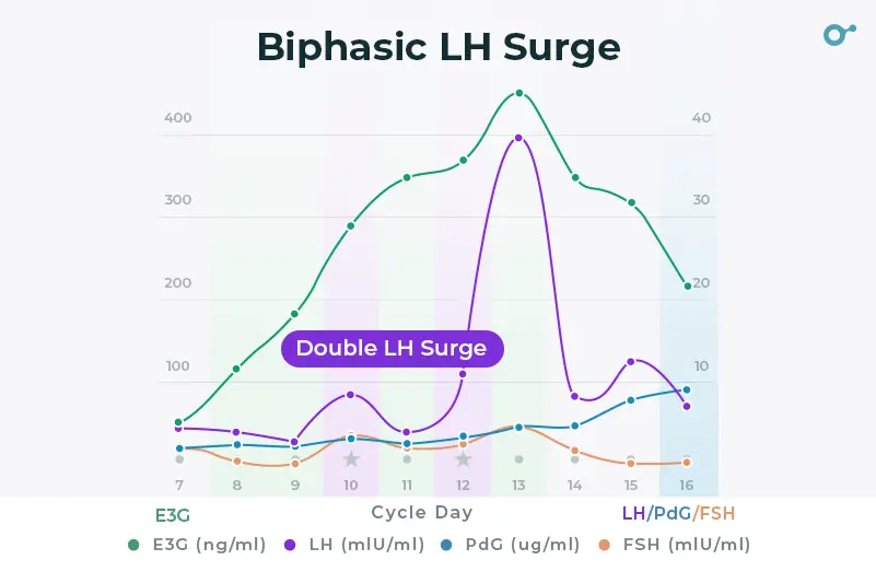 Biphasic LH surge