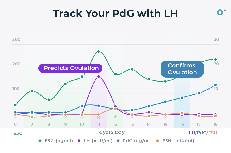 Track Your pdg with Lh