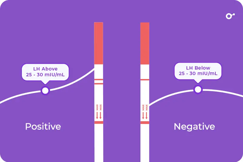 Positive vs. Negative ovulation test results