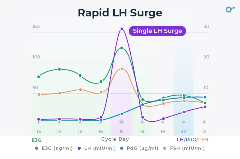 Rapid LH surge