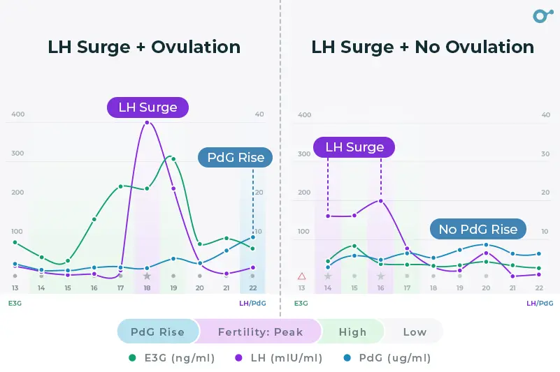 Surge in LH may not trigger ovulation