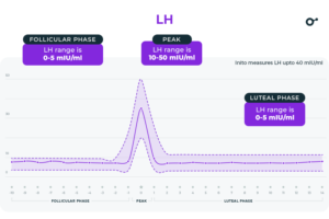 Master hormones with Inito, your step-by-step guide - Inito