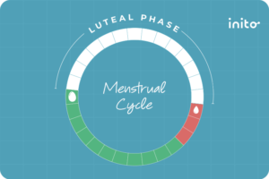 lengthen the luteal phase