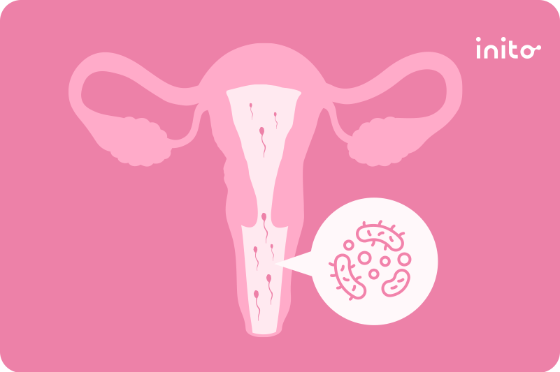 Fertility, Pregnancy, UTI, and Yeast Infection products