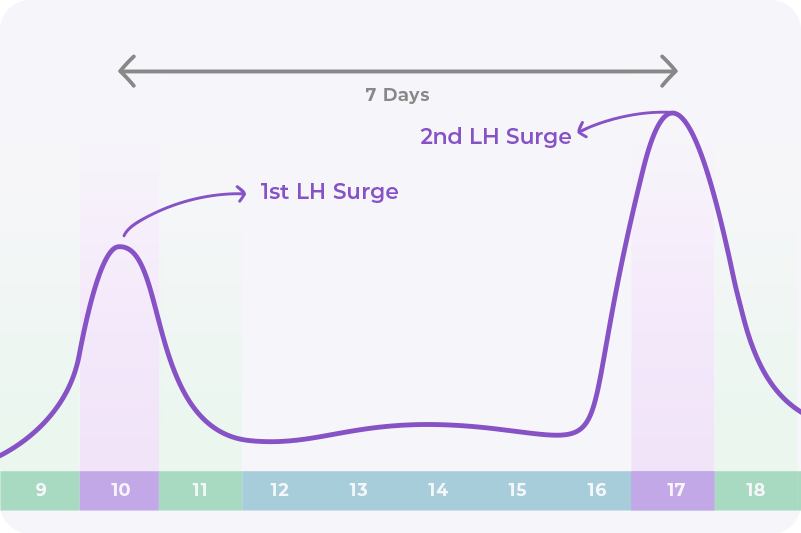 double LH surge