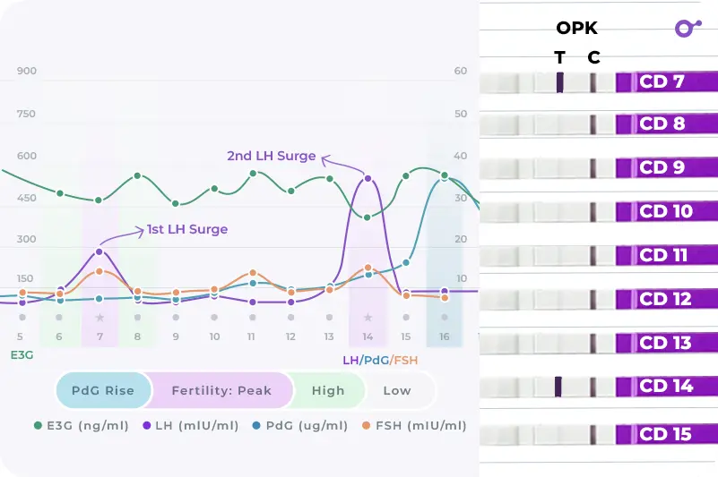 Double LH surges