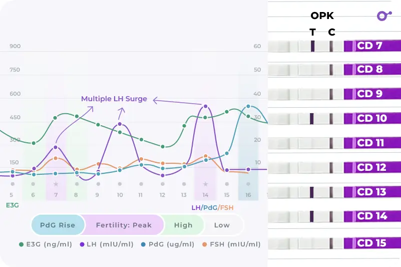 Multiple LH surges