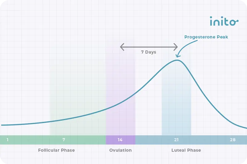 progesterone levels day 21